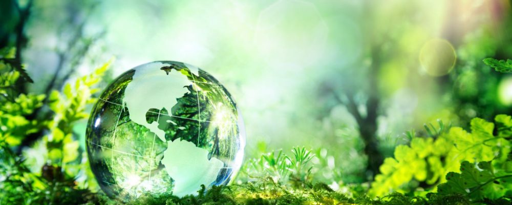 The Green Finance Strategy